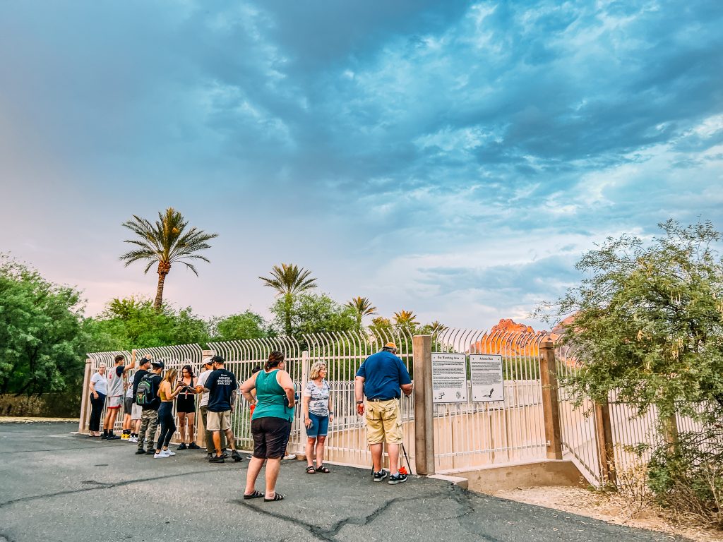 people standing against fence over the Phoenix Bat Cave